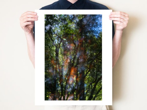 Woodland Diptych. Print 1. Photo © Tom Bland.